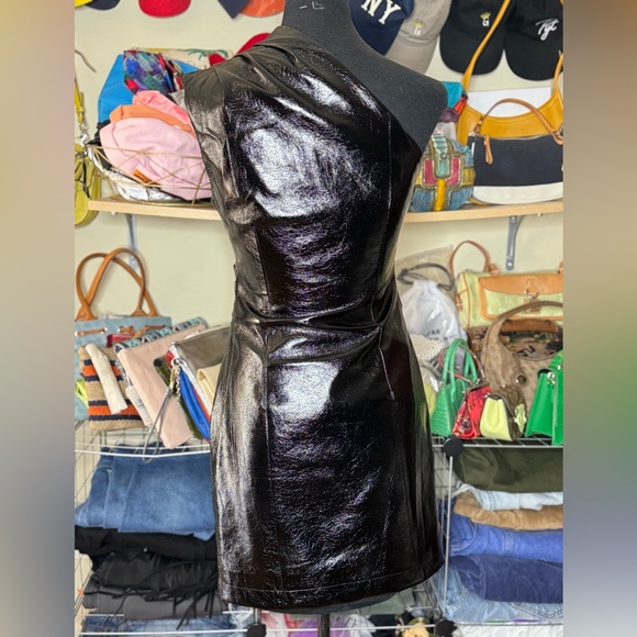 Lioness - Picture 5 of 6